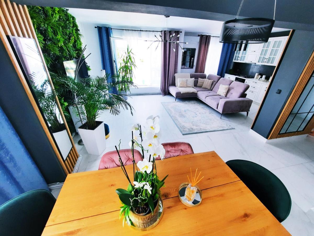 Penthouse Aeroport Iasi Apartment Екстериор снимка