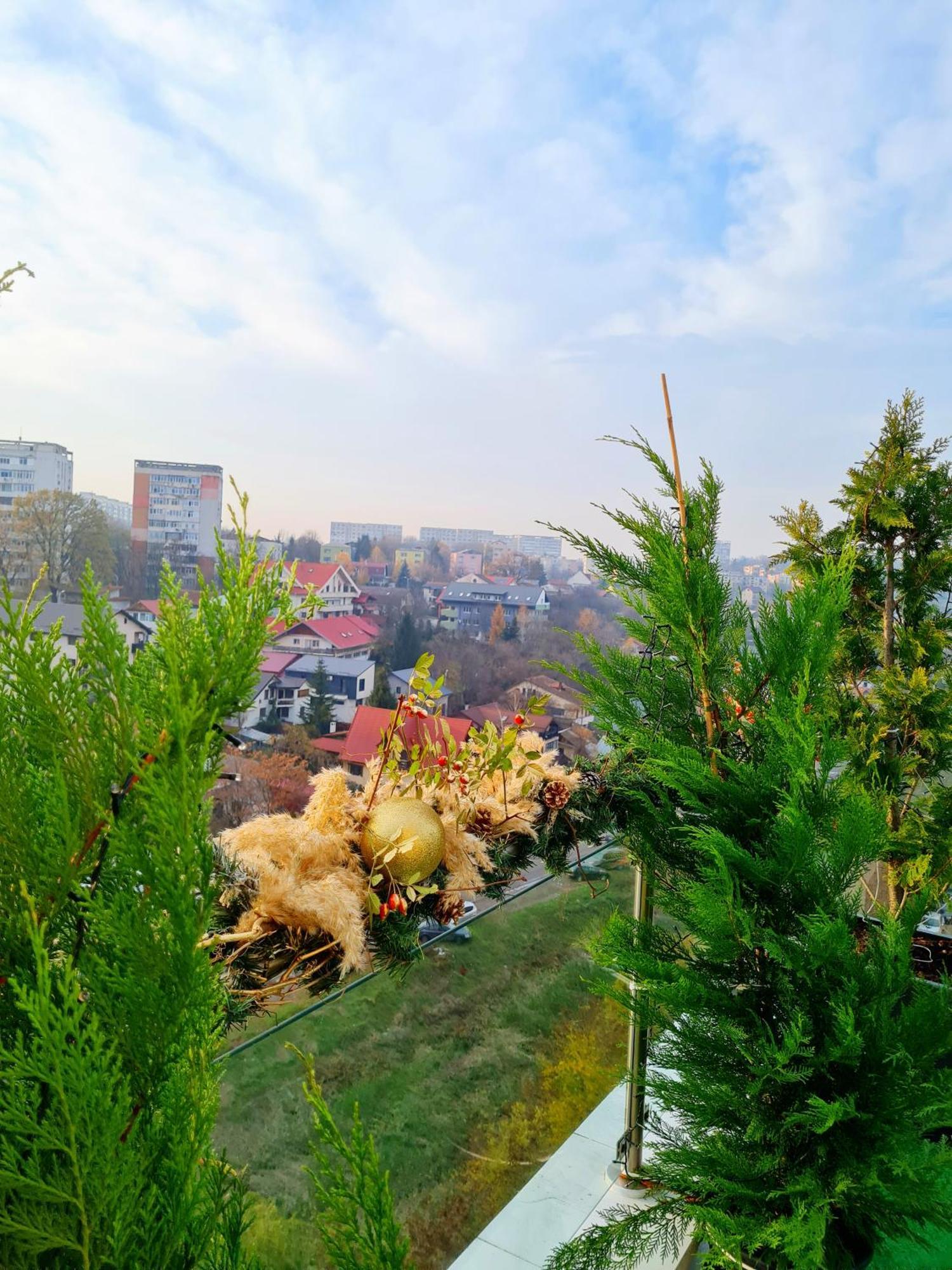Penthouse Aeroport Iasi Apartment Екстериор снимка