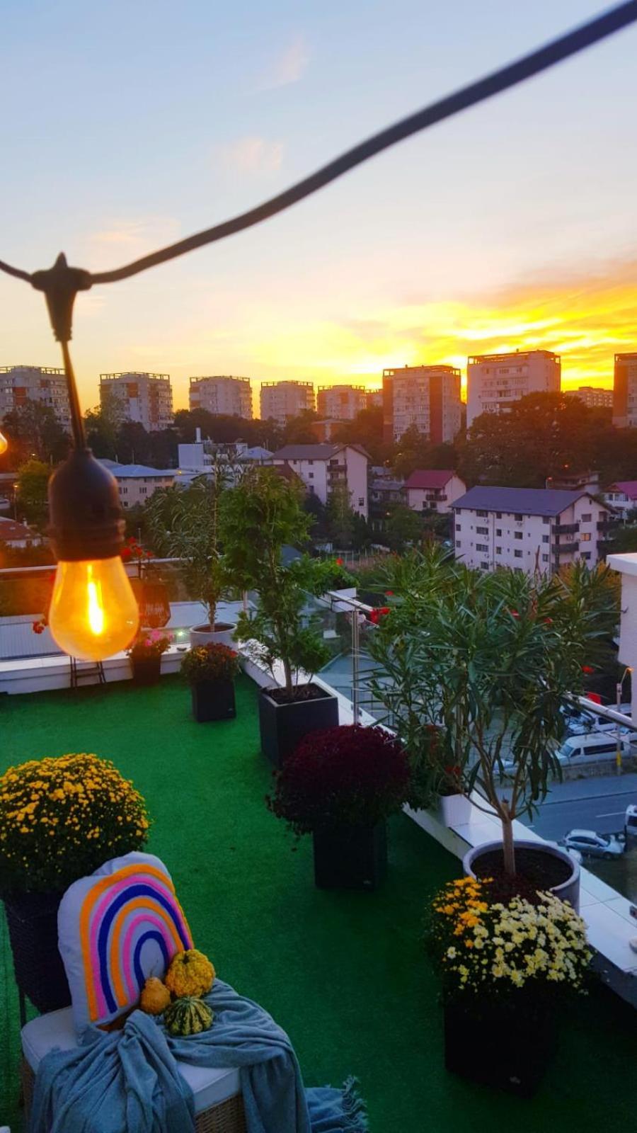 Penthouse Aeroport Iasi Apartment Екстериор снимка