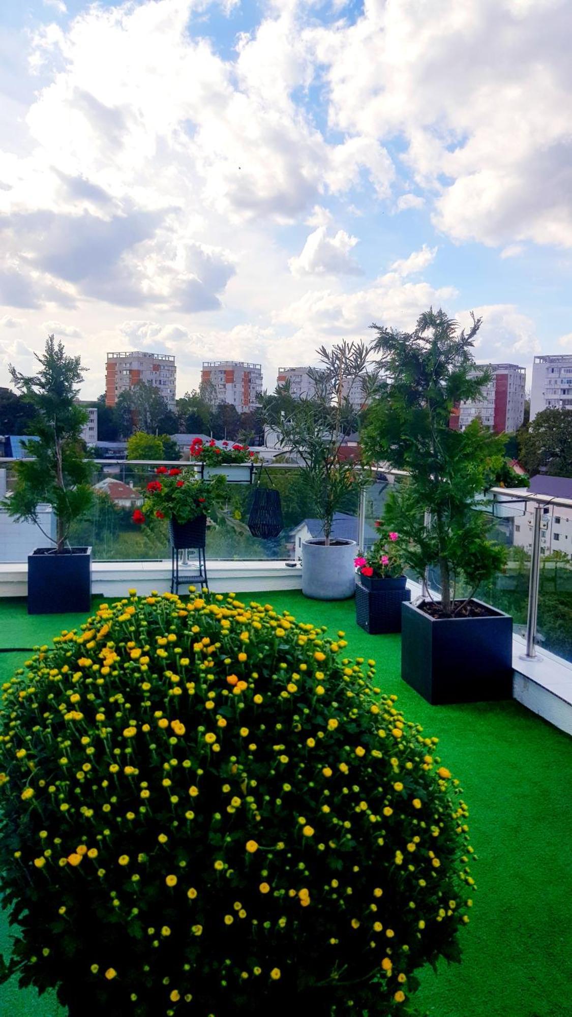 Penthouse Aeroport Iasi Apartment Екстериор снимка